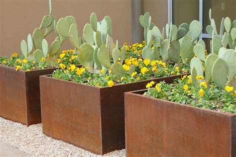 metal planter boxes sydney|custom wooden planter box.